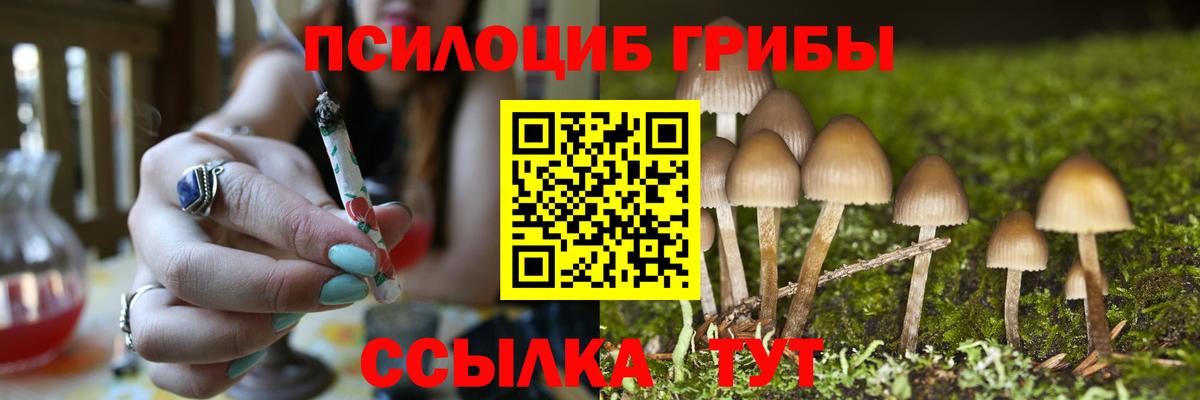 Галлюциногенные грибы мицелий  Галлюциногенные грибы Magic Shrooms  Вход с VPN  Белорецк 